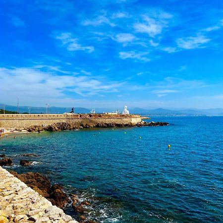 Appartement tout neuf vieil Antibes Extérieur photo